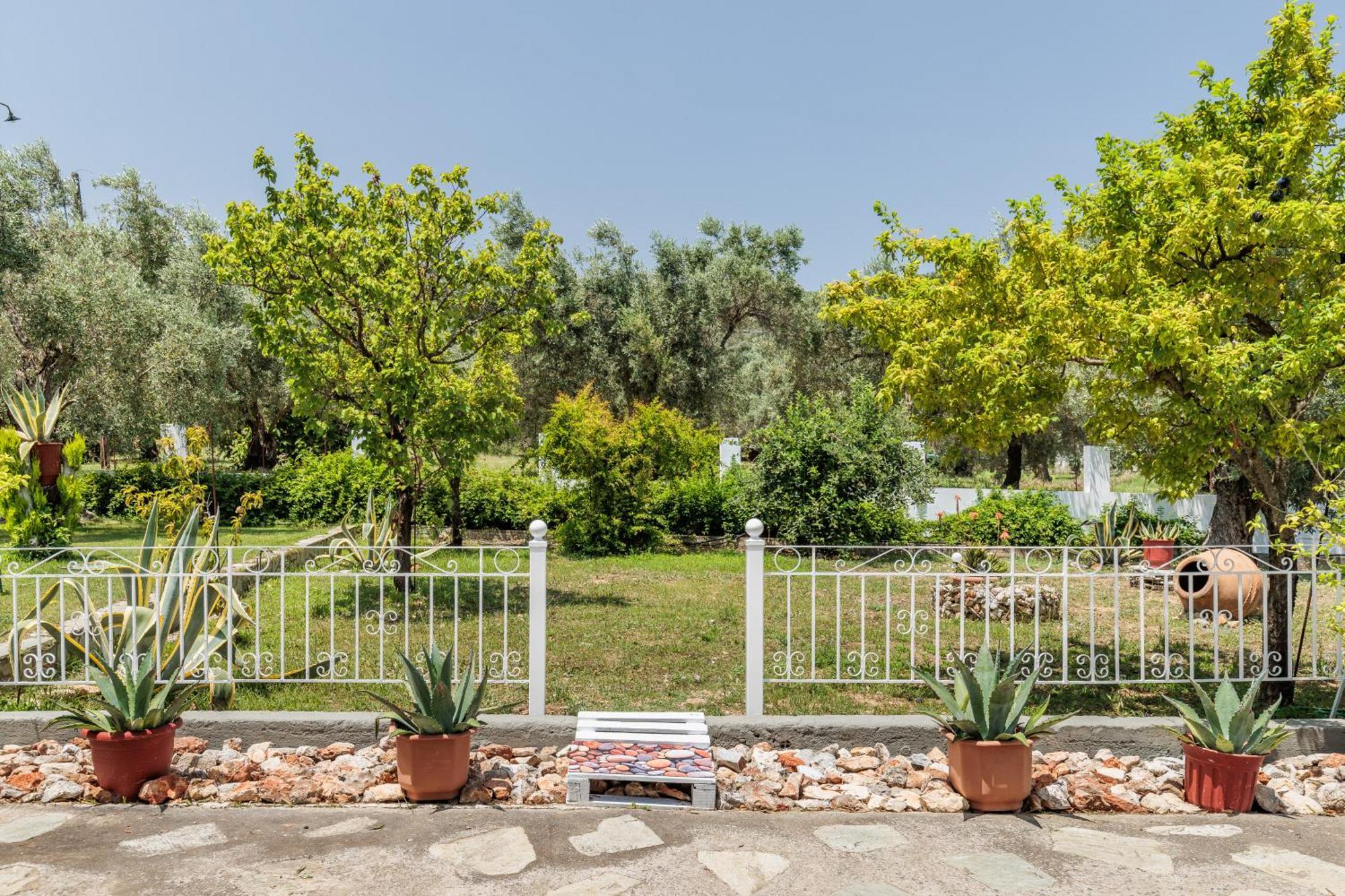 Panagou Studios Skopelos Exterior foto